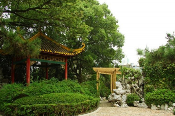 如何讓土地“變肥”，讓樹苗“夠吃”？