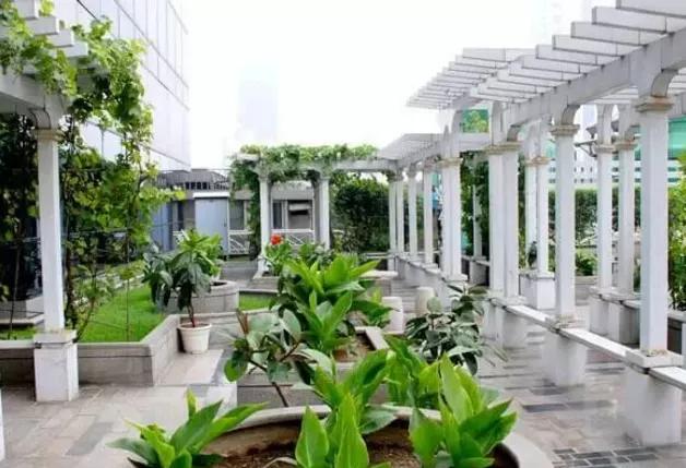 湖北凱蒂園林告訴你園林綠化工程主要包含哪些內(nèi)容？